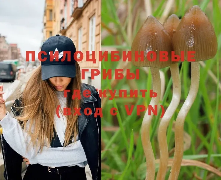 Галлюциногенные грибы MAGIC MUSHROOMS  Николаевск 